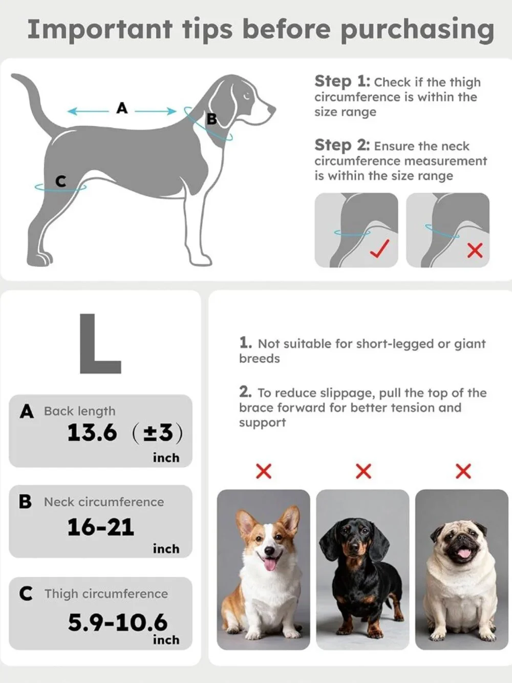 Dog Knee Brace for Torn ACL/CCL Hind Leg